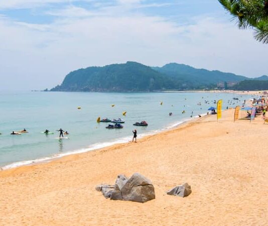 고운 백사장과 맑은 바다가 길게 이어지는 고성 화진포해수욕장