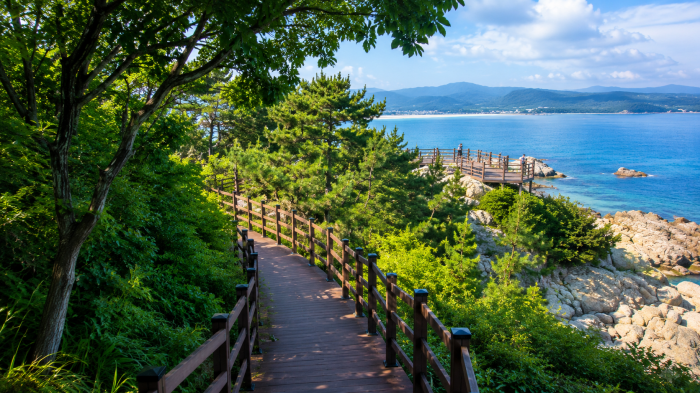 고성 죽도 숲과 바다를 잇는 목재 산책로