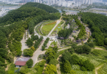 구미 다온숲 전경과 도심 속 수국정원