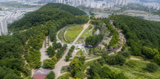 구미 다온숲 전경과 도심 속 수국정원