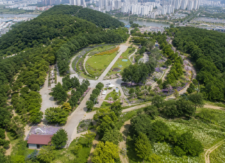 구미 다온숲 전경과 도심 속 수국정원