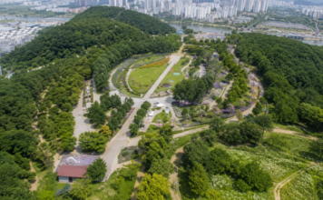 구미 다온숲 전경과 도심 속 수국정원