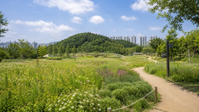 구미 다온숲 테마정원과 순환형 산책로