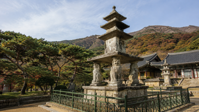 구례 화엄사 사사자 삼층석탑과 지리산 숲