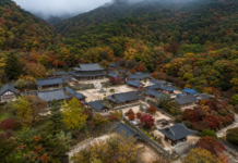 구례 화엄사, 노고단으로 이어지는 지리산 사찰 여행…국보 품은 천년고찰 지리산 숲과 산줄기에 둘러싸인 구례 화엄사 전경