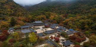 지리산 숲과 산줄기에 둘러싸인 구례 화엄사 전경