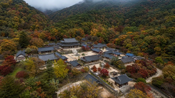 gurye-hwaeomsa-jirisan-aerial-view 지리산 숲과 산줄기에 둘러싸인 구례 화엄사 전경