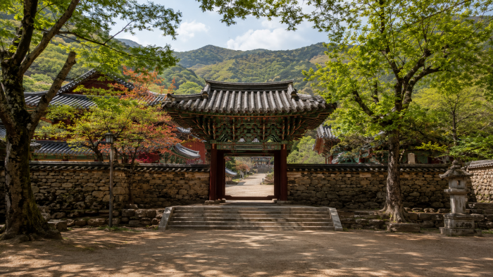 녹음 속 구례 화엄사 전통 사찰문과 진입로