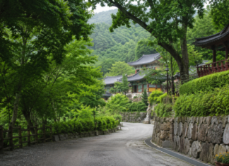 울창한 백운산 숲 사이로 보이는 광양 성불사 전경과 진입로