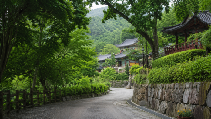 울창한 백운산 숲 사이로 보이는 광양 성불사 전경과 진입로