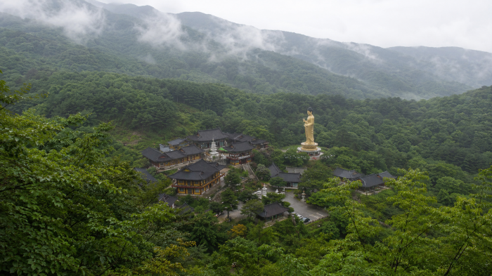 안개 낀 백운산 자락과 성불사 전경