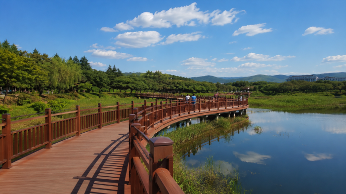 경주 보문호 습지와 녹음을 따라 이어지는 목재 산책로