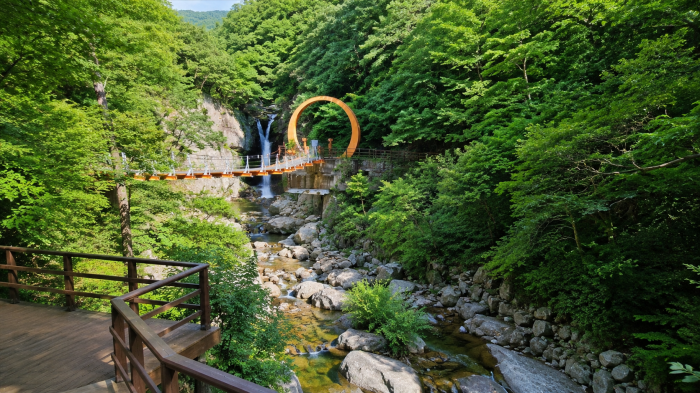 경주 상계폭포 숲속 전망데크와 출렁다리