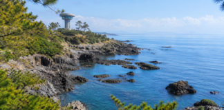 경주 양남 주상절리 파도소리길과 동해안 암석 해안 전경