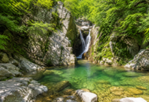 경주 양남 상계폭포, 주차 후 출렁다리 건너 만나는 무료 여름 계곡 명소 경주 양남 상계폭포와 숲속 맑은 소