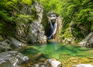 경주 양남 상계폭포, 주차 후 출렁다리 건너 만나는 무료 여름 계곡 명소 경주 양남 상계폭포와 숲속 맑은 소
