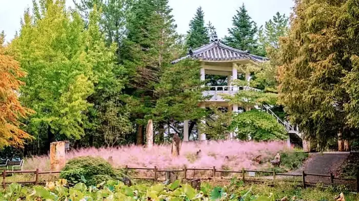 진주 경상남도수목원 전망정자와 계절정원