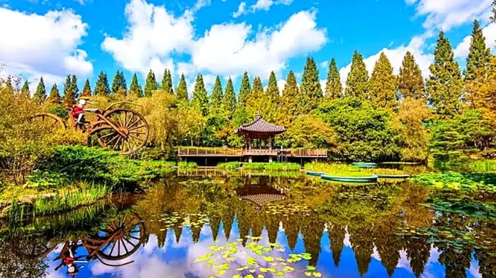 진주 경상남도수목원 수생식물원 연못과 정자