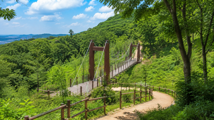 계양산 숲속 출렁다리와 녹음이 우거진 산책로