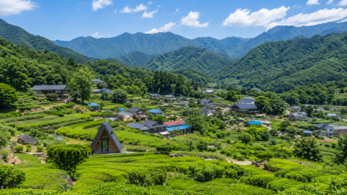 하동 화개동천 야생차밭과 지리산 자락 하동 화개동천 야생차밭과 지리산 자락, 산촌 마을이 어우러진 풍경