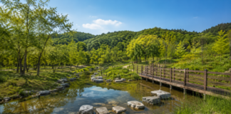 생태연못과 목재 산책로가 어우러진 부산 해운대수목원