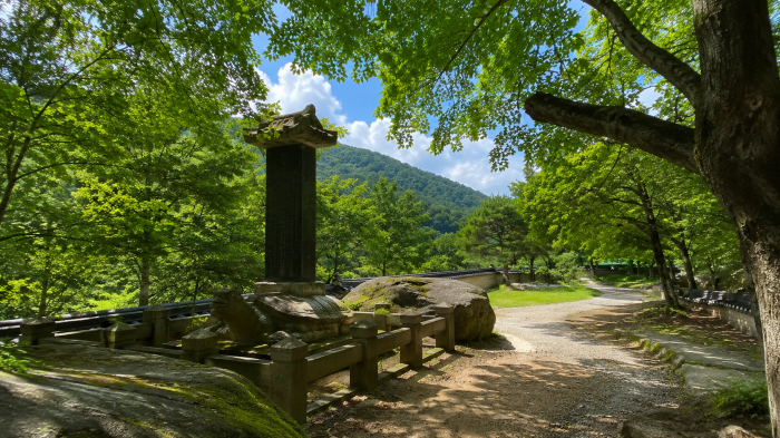 숲 그늘 속 비석과 산책길이 이어지는 함양 화림동계곡 탐방로