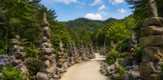 합천 천불천탑, 한 가지 소원 빌러 찾는 허굴산 돌탑 명소 합천 천불천탑 돌탑 사이로 이어지는 허굴산 산책로