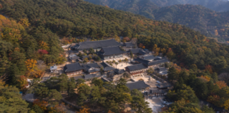 합천 해인사 팔만대장경, 몽골 침입에서 시작돼 800년을 버틴 보존의 비밀 가야산 숲에 둘러싸인 합천 해인사 전경