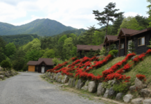 합천 오도산자연휴양림, 해발 700m 소나무숲 5인실 비수기 7만원 합천 오도산자연휴양림 소나무숲과 숲속의 집 전경