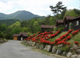 합천 오도산자연휴양림, 해발 700m 소나무숲 5인실 비수기 7만원 합천 오도산자연휴양림 소나무숲과 숲속의 집 전경