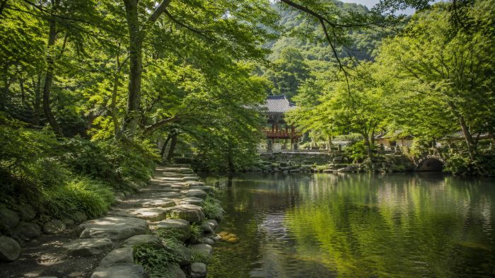 장성 백양사 연못과 숲길, 쌍계루 산책 동선