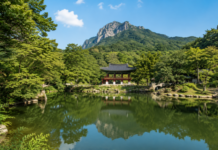 장성 백암산 백양사 일원, 명승 구역 8.4배 확대…쌍계루·산내 암자 품은 무료 산사 여행 장성 백양사 쌍계루 연못과 백학봉 여름 전경