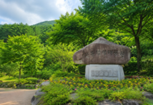 울창한 여름 숲에 자리한 장수 뜬봉샘생태공원 표지석