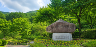 울창한 여름 숲에 자리한 장수 뜬봉샘생태공원 표지석