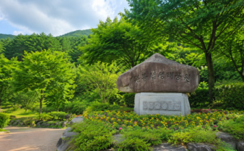 울창한 여름 숲에 자리한 장수 뜬봉샘생태공원 표지석
