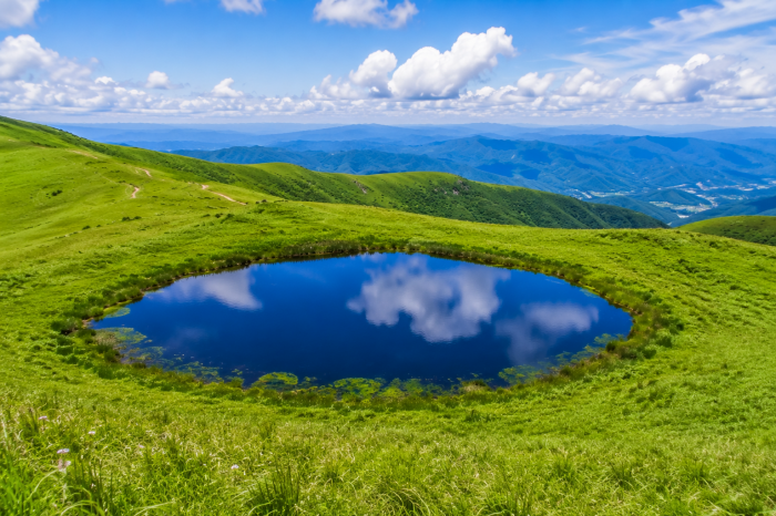 정선 민둥산 정상 부근 돌리네 연못