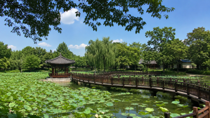 jeonju-deokjin-park-lotus-pavilion-day 연꽃이 가득한 덕진호와 전통 정자, 목재 산책로