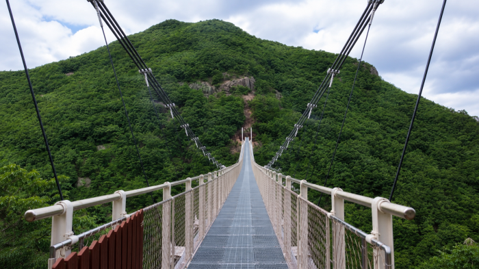 운일암반일암 구름다리 중앙에서 바라본 명도봉 숲