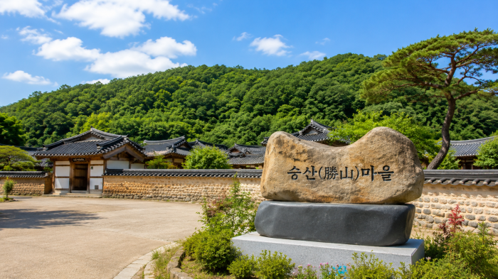 옛 지수초등학교 K-기업가정신센터와 부자소나무