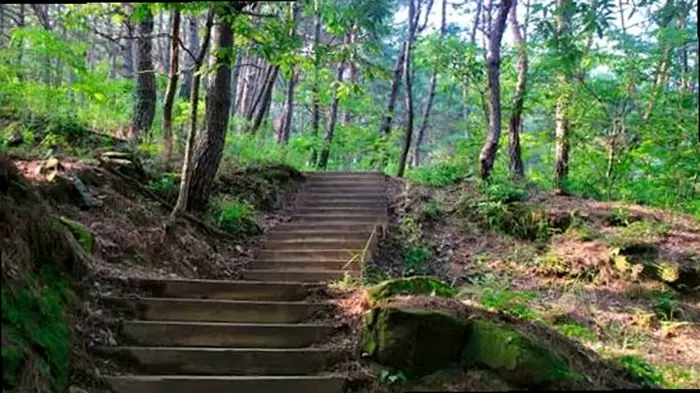 진주 숙호산 숲속의 완만한 계단 등산로