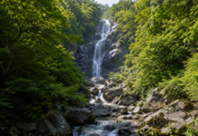 지리산 칠선계곡, 하루 60명만 걷는다…7개 폭포 지나 천왕봉 오르는 예약 탐방로 울창한 원시림과 암반 사이로 여러 단을 이루며 흐르는 지리산 칠선계곡 폭포