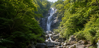 지리산 칠선계곡, 하루 60명만 걷는다…7개 폭포 지나 천왕봉 오르는 예약 탐방로 울창한 원시림과 암반 사이로 여러 단을 이루며 흐르는 지리산 칠선계곡 폭포