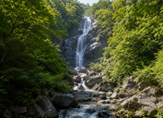 지리산 칠선계곡, 하루 60명만 걷는다…7개 폭포 지나 천왕봉 오르는 예약 탐방로 울창한 원시림과 암반 사이로 여러 단을 이루며 흐르는 지리산 칠선계곡 폭포