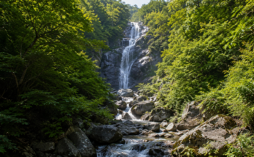 지리산 칠선계곡, 하루 60명만 걷는다…7개 폭포 지나 천왕봉 오르는 예약 탐방로 울창한 원시림과 암반 사이로 여러 단을 이루며 흐르는 지리산 칠선계곡 폭포