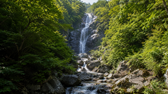 jirisan-chilseon-valley-waterfall-primeval-forest 울창한 원시림과 암반 사이로 여러 단을 이루며 흐르는 지리산 칠선계곡 폭포