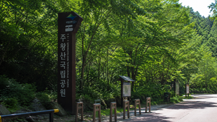 울창한 숲에 세워진 주왕산국립공원 주산지 입구 표지와 탐방 안내시설