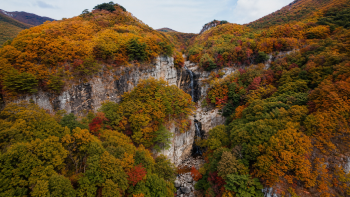 miryang-jaeyaksan-sajapyeong-highland-trail 밀양 재약산 사자평 고원 능선의 목재 탐방로와 영남알프스 산줄기