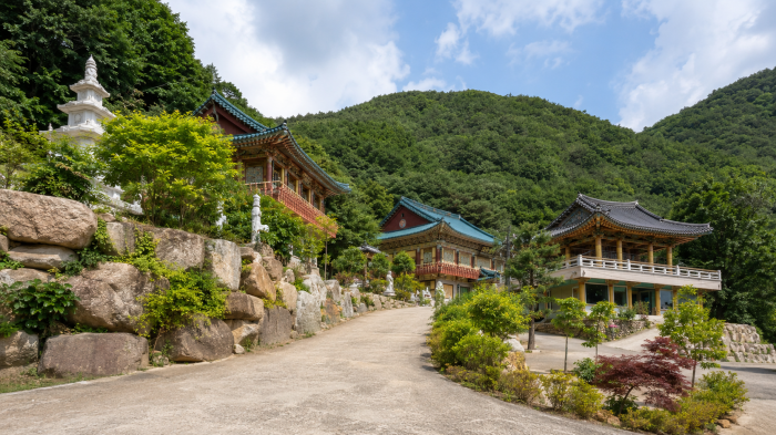 산비탈을 따라 이어지는 밀양 여여정사 전각과 진입로