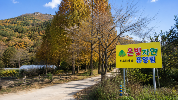 탄소상쇄 숲 온빛자연휴양림 입구 안내판과 숲길