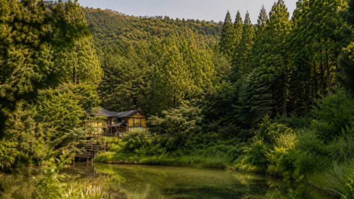 nonsan-onbit-forest-lake-yellow-house 논산 온빛자연휴양림 메타세쿼이아 숲과 호수 옆 노란 목조주택